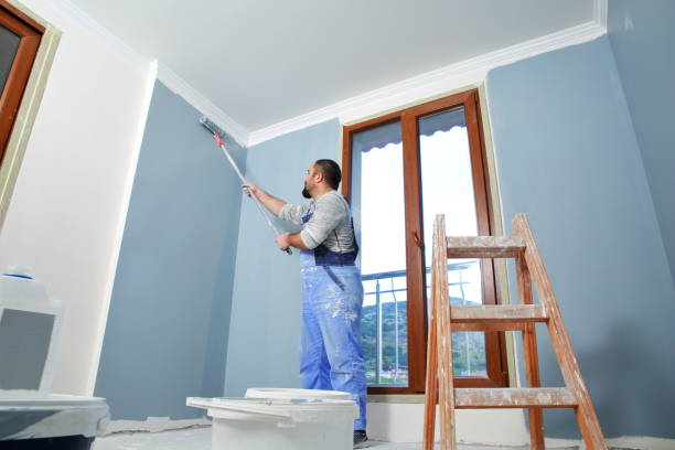 Best Water Damage & Mold Remediation  in Williamsport, IN