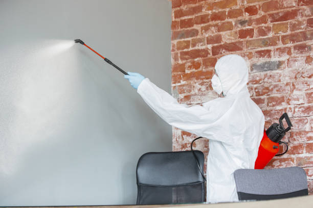 Best Biohazard Mold Removal  in Williamsport, IN