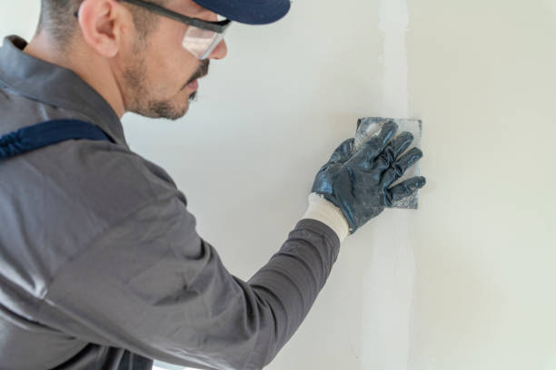 Best Black Mold Removal  in Williamsport, IN