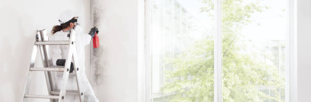Best Asbestos and Lead Testing During Mold Inspection  in Williamsport, IN
